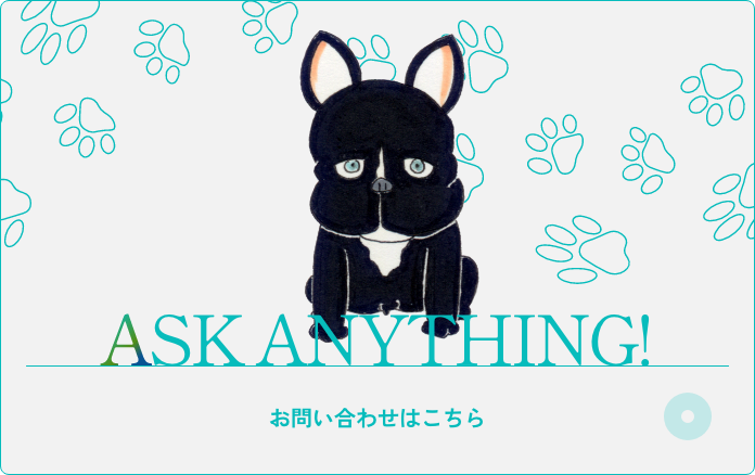 ASK ANYTHING! お問い合わせはこちら
