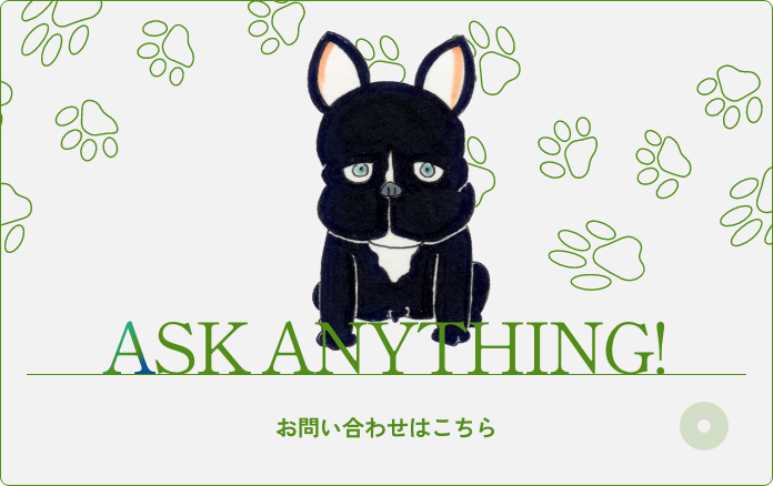 ASK ANYTHING! お問い合わせはこちら
