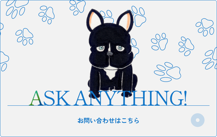 ASK ANYTHING! お問い合わせはこちら