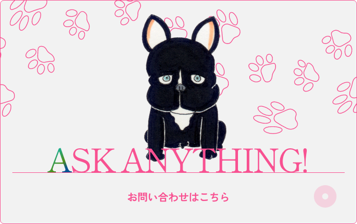 ASK ANYTHING! お問い合わせはこちら