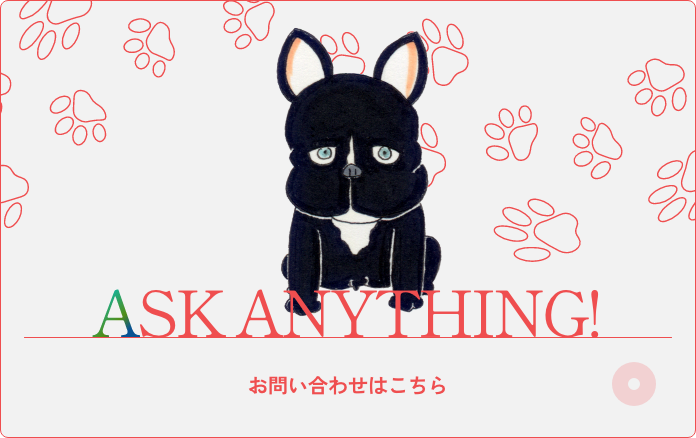ASK ANYTHING! お問い合わせはこちら