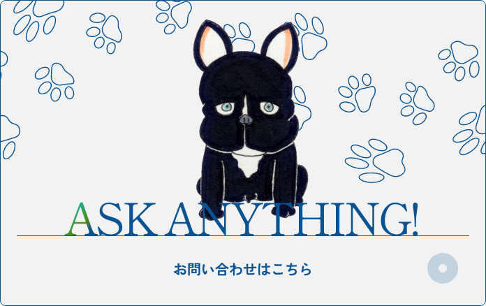 ASK ANYTHING! お問い合わせはこちら